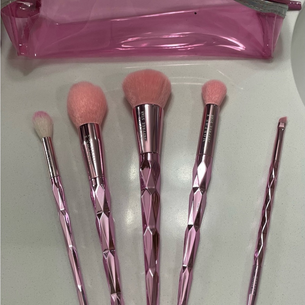 Pink Makeup Brush Set with Case